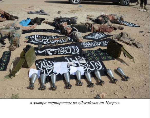 В поисках сирийской «умеренной оппозиции» (ФОТО строго 18+) | Русская весна