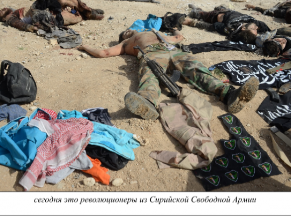 В поисках сирийской «умеренной оппозиции» (ФОТО строго 18+) | Русская весна