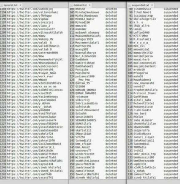 Хакеры, объявившие виртуальную войну ИГИЛ, взломали 5,5 тыс. аккаунтов террористов | Русская весна