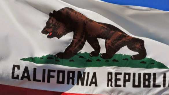 Американским активистам помешали повесить плакат о дружбе с Россией (ФОТО) | Русская весна