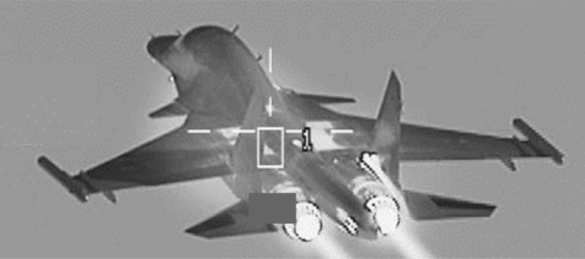 Авиация НАТО опубликовала снимок Су-34 в прицеле F-16 (ФОТО) | Русская весна