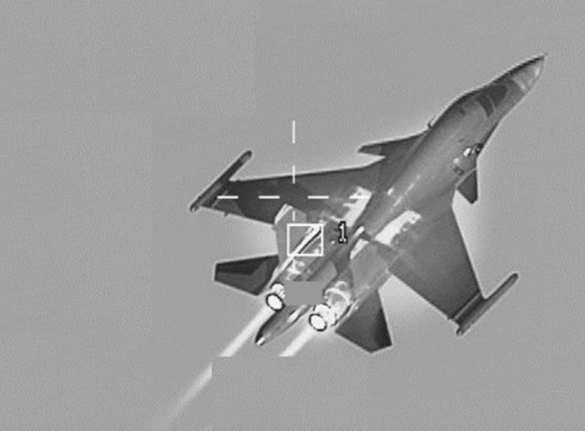 Авиация НАТО опубликовала снимок Су-34 в прицеле F-16 (ФОТО) | Русская весна