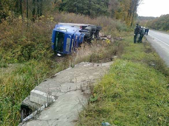 Под Полтавой перевернулась фура со свиньями (ФОТО, ВИДЕО) | Русская весна