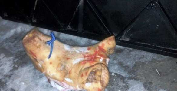 В Черкасской области неонацисты разгромили синагогу (+ВИДЕО, ФОТО) | Русская весна