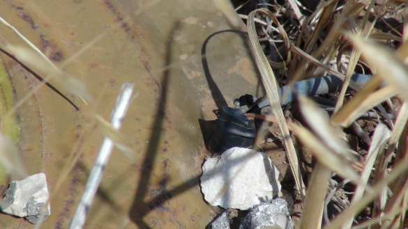 Сирия: Спецназ ВС РФ обнаружил новые интересные находки и след иностранных спонсоров боевиков (+ФОТО) | Русская весна