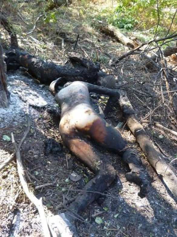 Фото сгоревших вместе с бронетехникой карателей из батальона "Айдар" (18+) | Русская весна