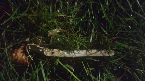 В США прокомментировали нападение на посольство в Киеве (+ФОТО) | Русская весна