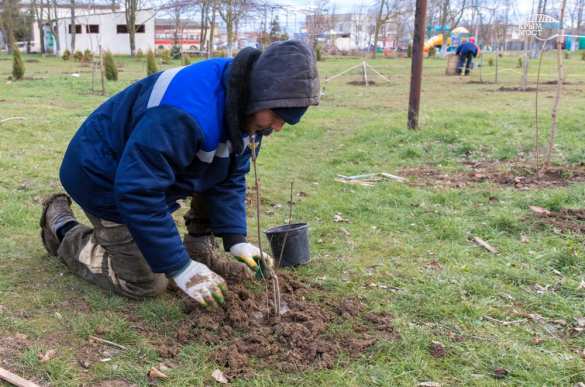 Строители Крымского моста обещают: Тамань и Керчь зазеленеют (ФОТО) | Русская весна