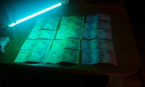 Украинский таможенник на крымской границе схвачен во время пропуска запрещенных Украиной товаров (ФОТО) | Русская весна