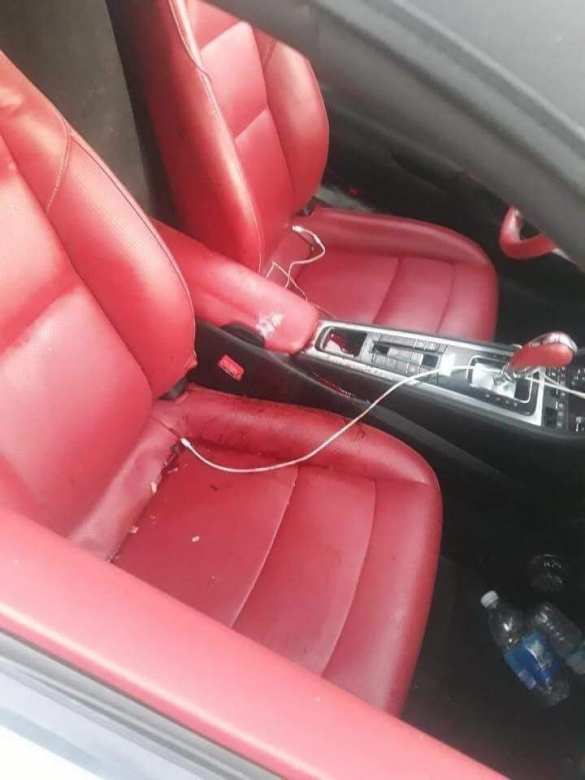 В Ираке зверски убили победительницу конкурса красоты (ФОТО, ВИДЕО 18+) | Русская весна