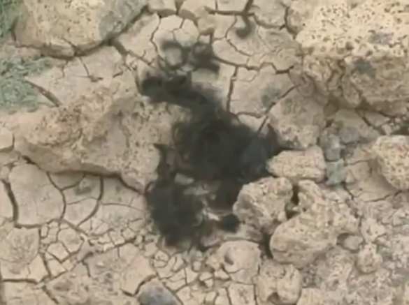 СРОЧНО: Спецназ в Сирии уничтожил группу боевиков США, шедших на помощь ИГИЛ (ФОТО 18+) | Русская весна