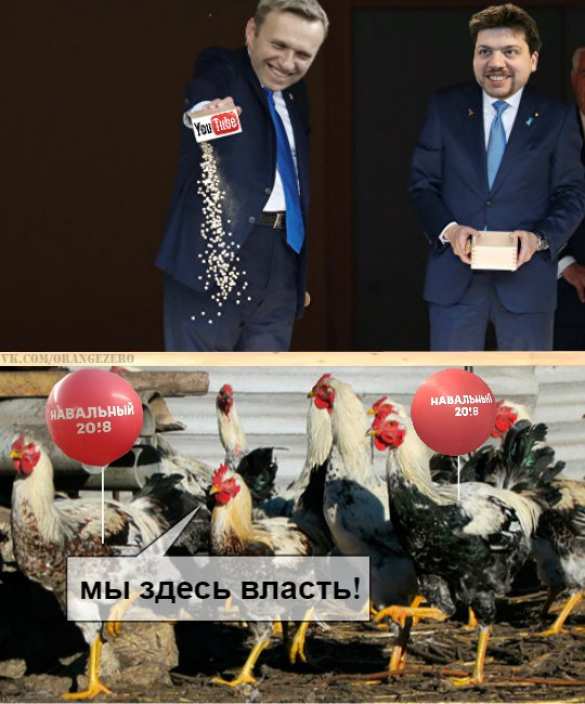 Трамп «покормил» Навального, либералов и «украинских патриотов» (ФОТОЖАБЫ) | Русская весна
