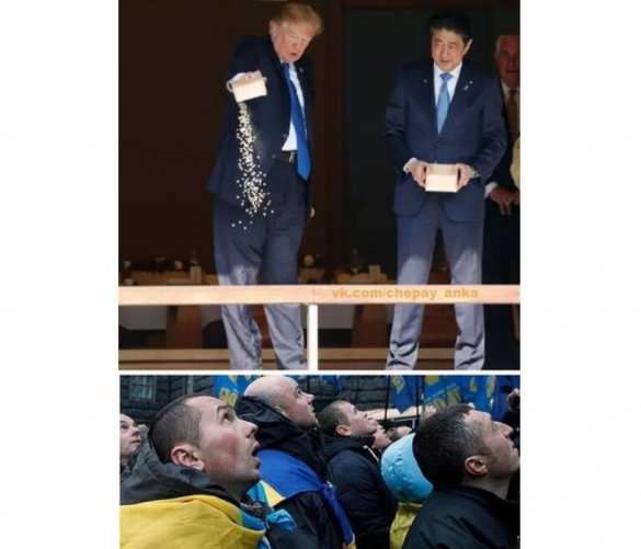 Трамп «покормил» Навального, либералов и «украинских патриотов» (ФОТОЖАБЫ) | Русская весна