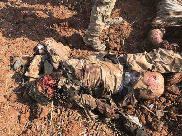 «Обугленные трупы зомби»: мощное наступление боевиков в Сирии обернулось кровавым провалом (ВИДЕО, ФОТО 21+) | Русская весна