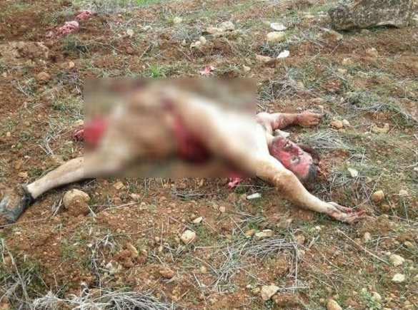 МОЛНИЯ: В Сирии сбит военный вертолёт (ВИДЕО, ФОТО 18+) | Русская весна