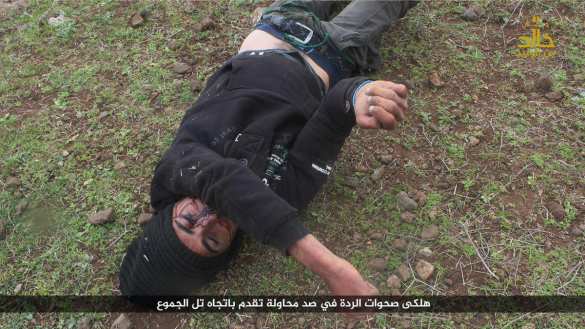 Резня в Дераа: Убиты 300 боевиков, ИГИЛ и «Нусра» режут головы друг другу (ВИДЕО, ФОТО 21+) | Русская весна