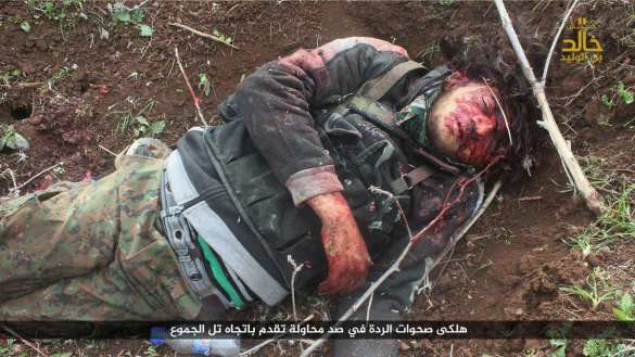 Резня в Дераа: Убиты 300 боевиков, ИГИЛ и «Нусра» режут головы друг другу (ВИДЕО, ФОТО 21+) | Русская весна