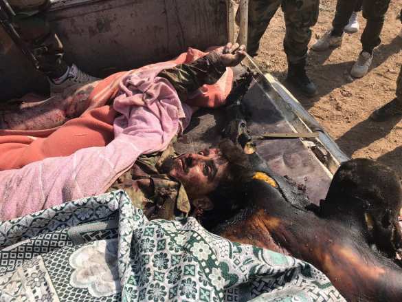 «Обугленные трупы зомби»: мощное наступление боевиков в Сирии обернулось кровавым провалом (ВИДЕО, ФОТО 21+) | Русская весна