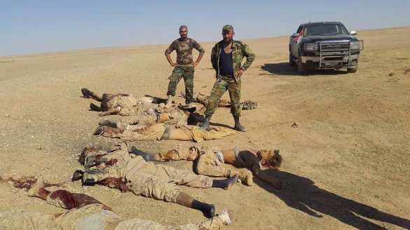 Армия Сирии по трупам ИГИЛ продвигается к Ракке (ФОТО, ВИДЕО 21+) | Русская весна