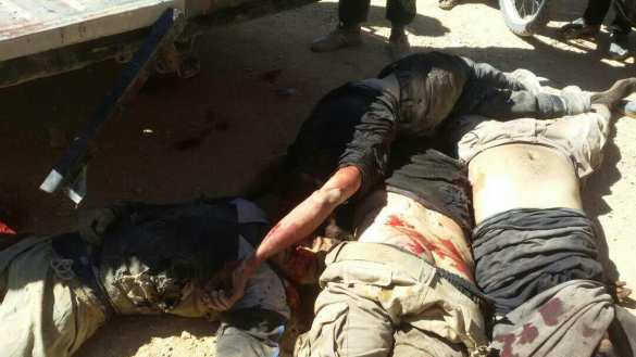 Кровавая мясорубка: ИГИЛ атаковала «Аль-Каиду», буквально завалив трупами границу Сирии (ФОТО 18+) | Русская весна