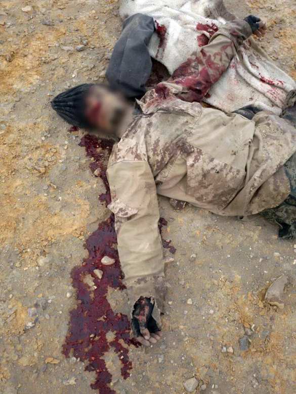 ВКС России и Армия Сирии отбрасывают ИГИЛ под Пальмирой, уничтожая боевиков и их технику (ВИДЕО, ФОТО 18+) | Русская весна