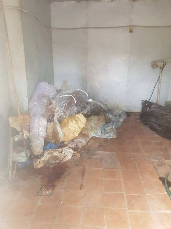 Трупы кишат опарышами: украинцы не могут похоронить родных из-за поправок к УК (ФОТО 18+) | Русская весна