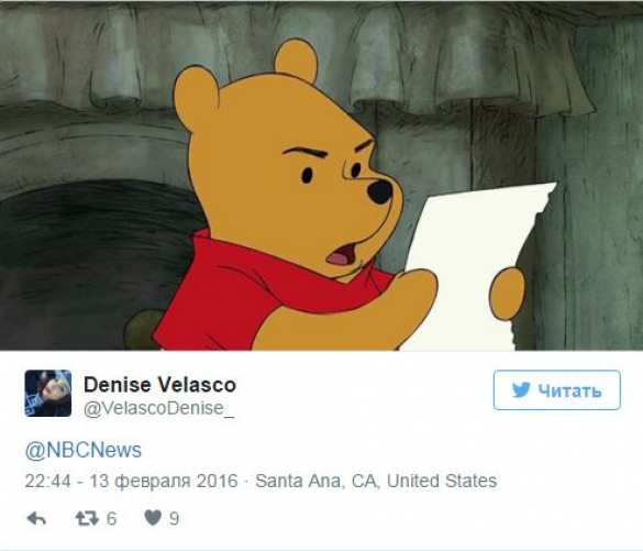 Бритые медведи — помощники ИГИЛ | Русская весна