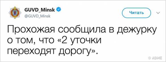 «Съели овощи с моего огорода»: милиция Минска ворвалась в Интернет и это стоит увидеть (ФОТО) | Русская весна