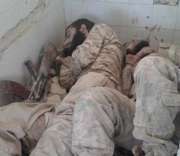 Кровавая жатва: Армия Сирии и ВКС РФ уничтожили множество террористов в Алеппо и Хаме (КАРТА, ВИДЕО, ФОТО 18+) | Русская весна