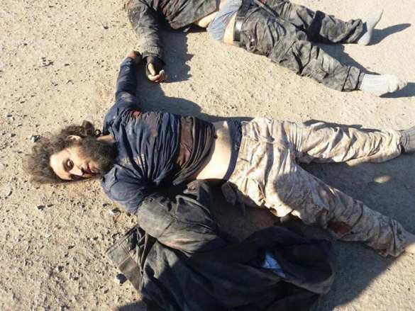 Резня в Дараа: ИГИЛ и боевики «оппозиции» отрезали головы друг другу (ВИДЕО, ФОТО 21+) | Русская весна