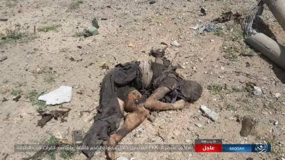 Бойня в Ракке: Боевики ИГИЛ вырезали ряд застав проамериканских сил у реки Евфрат (ФОТО, ВИДЕО 18+) | Русская весна