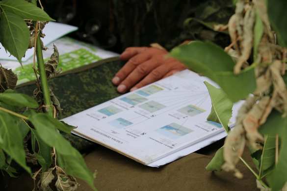 Враг не пройдет: в ДНР прошли широкомасштабные учения (ФОТОРЕПОРТАЖ) | Русская весна