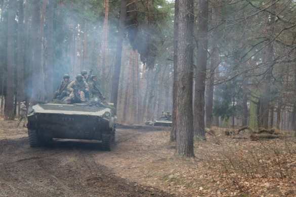 С прибалтийскими «коллегами»: ВСУ готовятся к штурму Донбасса (ФОТО) | Русская весна