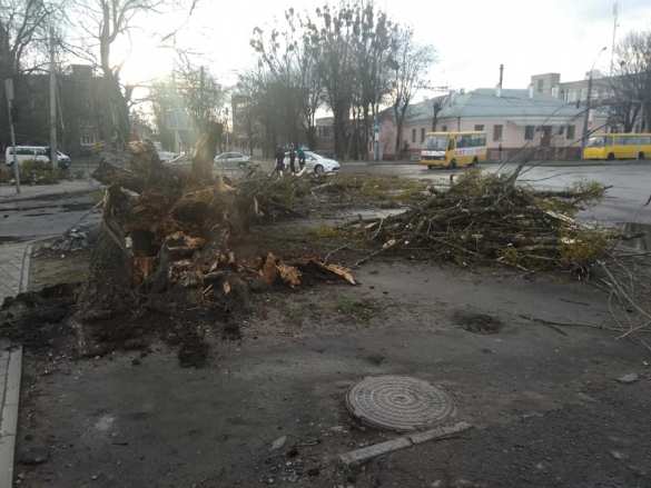Львов под ударом стихии: по Украине идёт ураган (ФОТО, ВИДЕО) | Русская весна