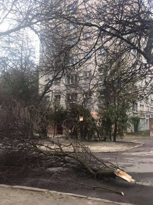 Львов под ударом стихии: по Украине идёт ураган (ФОТО, ВИДЕО) | Русская весна
