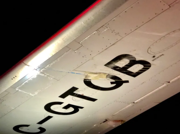 Автобус журналистов врезался в самолёт премьера Канады (ФОТО) | Русская весна