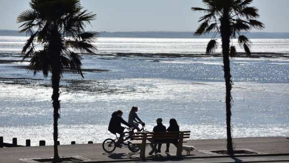 Шашлык по-британски: тысячи лондонцев вышли на пикники, игнорируя карантин (ФОТО, ВИДЕО) | Русская весна