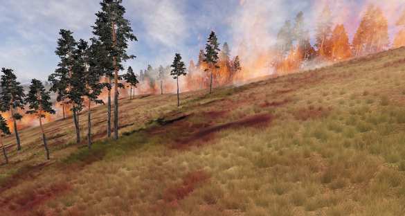 Виртуальная реальность поможет инвесторам в оценке лесных ресурсов (ФОТО) | Русская весна