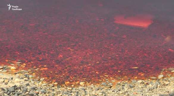 «Будут эвакуированы тысячи людей»: Украину ожидает новая катастрофа (ФОТО, ВИДЕО) | Русская весна