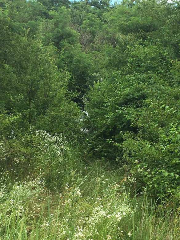 На таран: рвавшийся в Европу украинец снес шлагбаум и сбил пограничника (ФОТО) | Русская весна