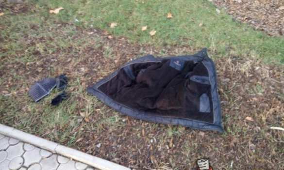 Работник Николаевского зоопарка, получив повестку, прыгнул в вольер к тиграм (ФОТО) | Русская весна