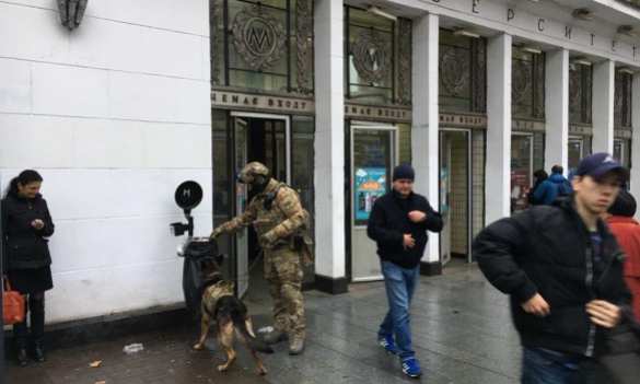 В Киеве задержали россиянина с гранатами и «коктейлями Молотова» в форме Нацполиции, — СБУ (ФОТО, ВИДЕО) | Русская весна