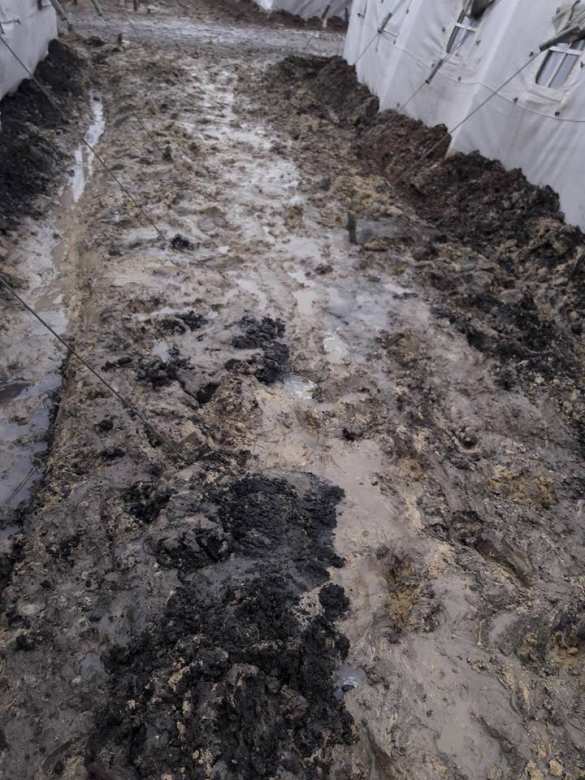 «Аспирантура» НАТО: полигон ВСУ утонул в грязи (ФОТО, ВИДЕО) | Русская весна