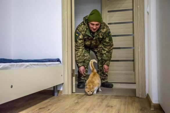 Американский генерал проверил, как готовятся на Яворовском полигоне украинские военные и кот (ФОТО) | Русская весна