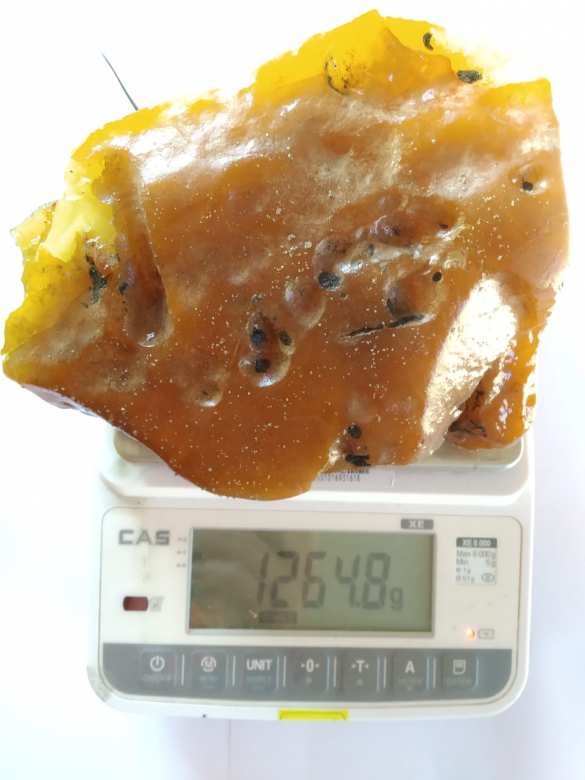 Самородок «Флотский» — в Калининграде уникальную добычу назвали в честь ВМФ (ФОТО) | Русская весна