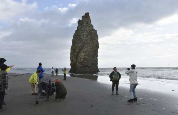 Мы только посмотреть: на Южные Курилы прибыла первая группа японских туристов (+ФОТО, ВИДЕО) | Русская весна