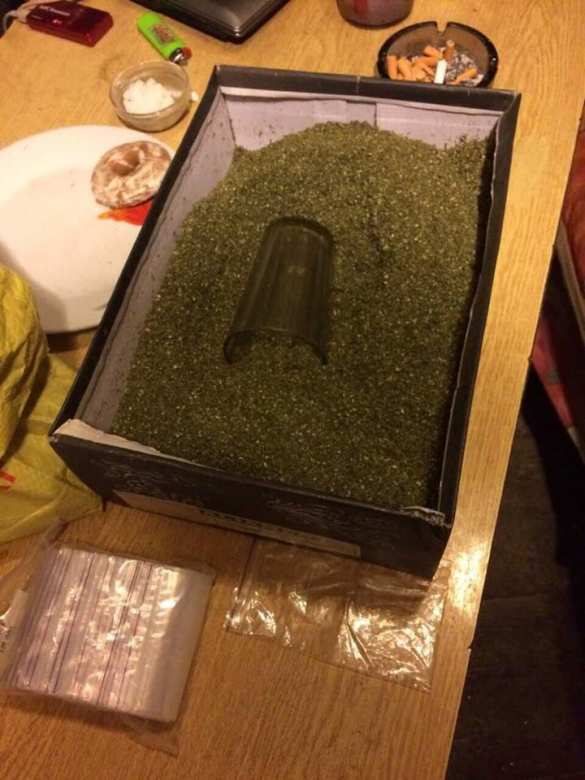 Под Киевом местный житель хранил арсенал взрывчатки «для самообороны» (ФОТО) | Русская весна