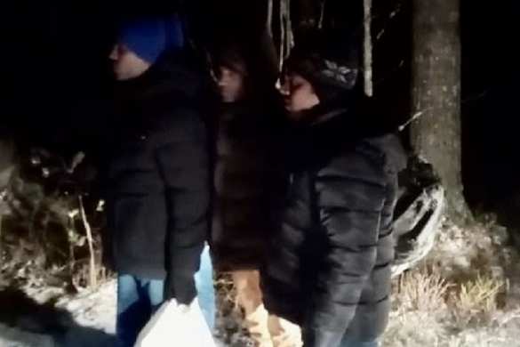 Мошенник построил «границу» в выборгском лесу и за деньги переправлял через неё нелегалов (ФОТО, ВИДЕО) | Русская весна