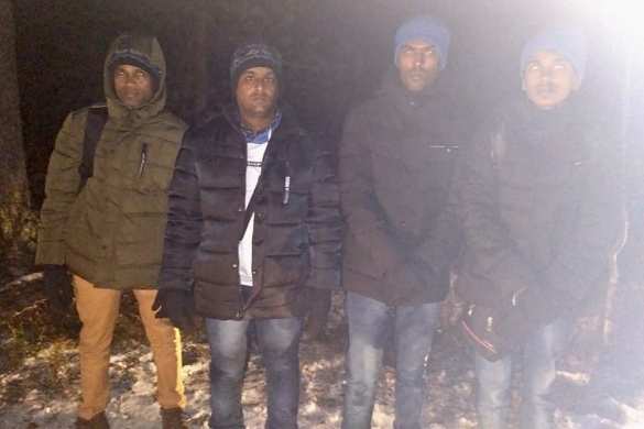 Мошенник построил «границу» в выборгском лесу и за деньги переправлял через неё нелегалов (ФОТО, ВИДЕО) | Русская весна