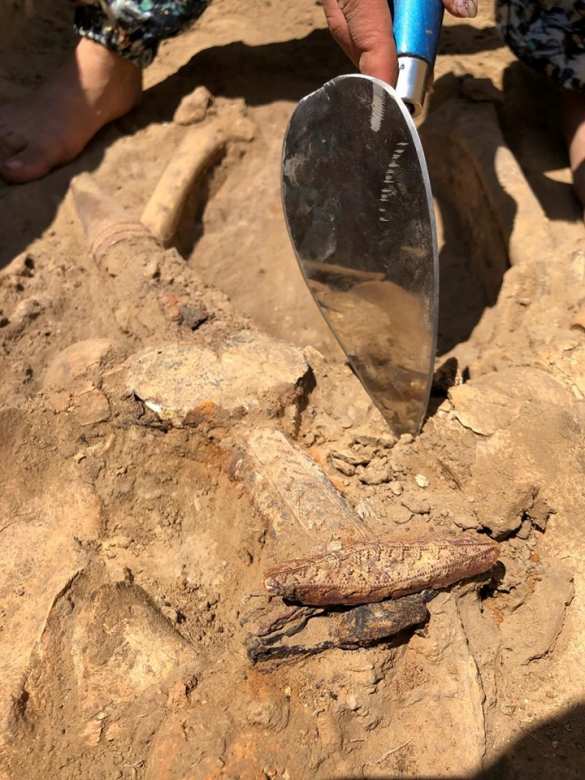 Боевой топор и меч акинаки: На Украине раскопали захоронение скифского воина (ФОТО) | Русская весна